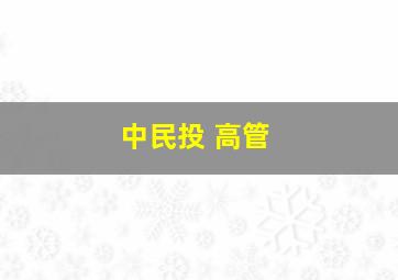 中民投 高管